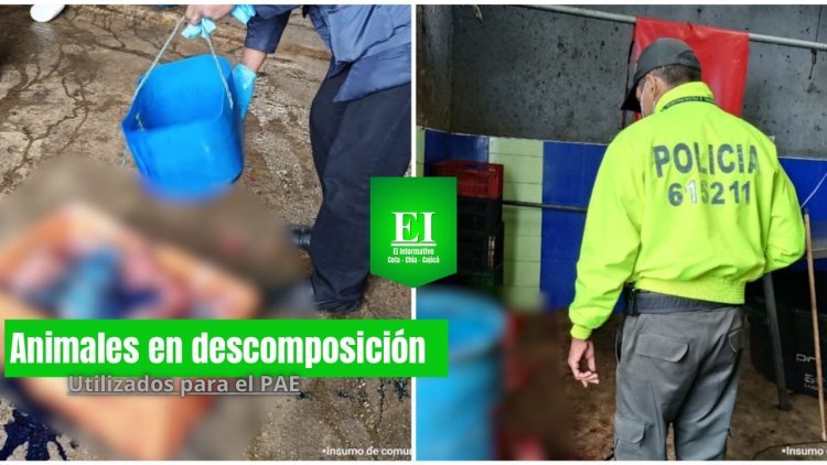Hallaron en una bodega de Cota, restos de animales viejos que eran distribuidos para el PAE y cárceles
