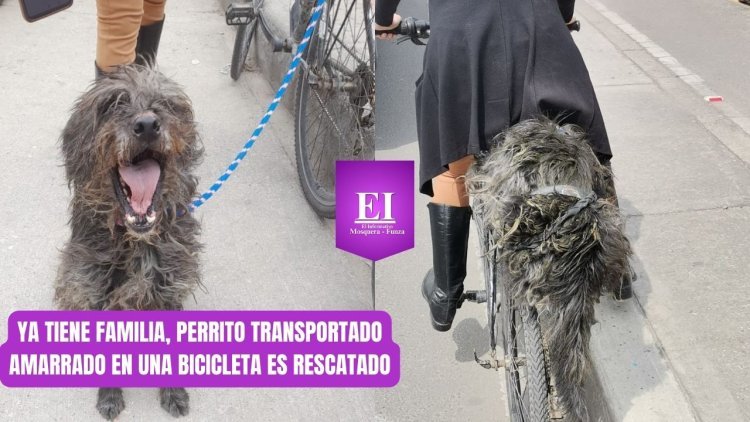 ¡Ya tiene familia! Perrito que era transportado amarrado a una bicicleta en Mosquera ya está en casa