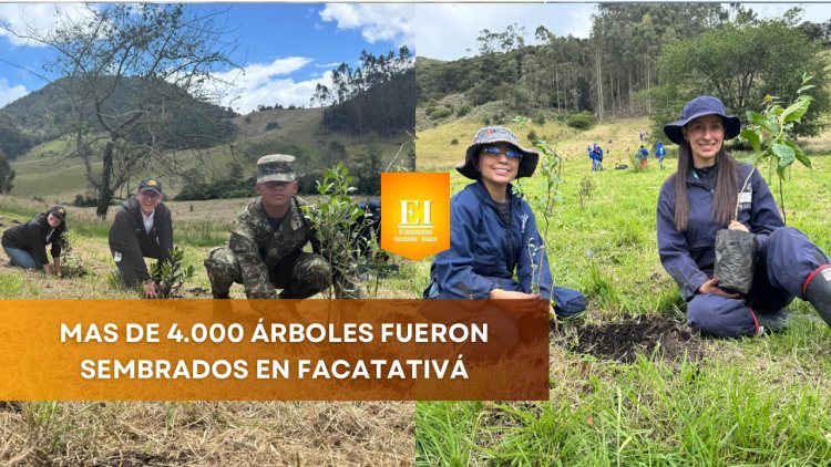 Más de 4.000 árboles fueron sembrados por el ejército y defensa civil en Facatativá