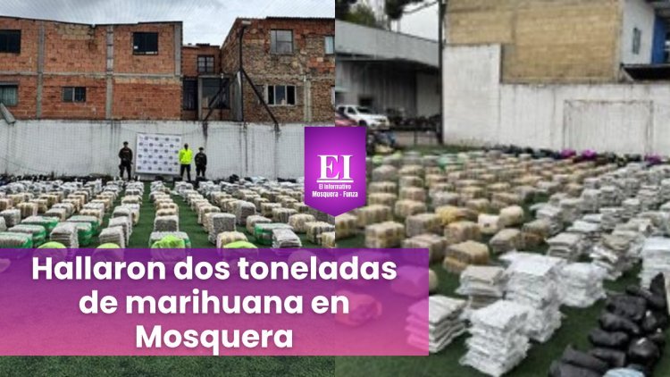 Increíble, hallaron dos toneladas de marihuana en Mosquera